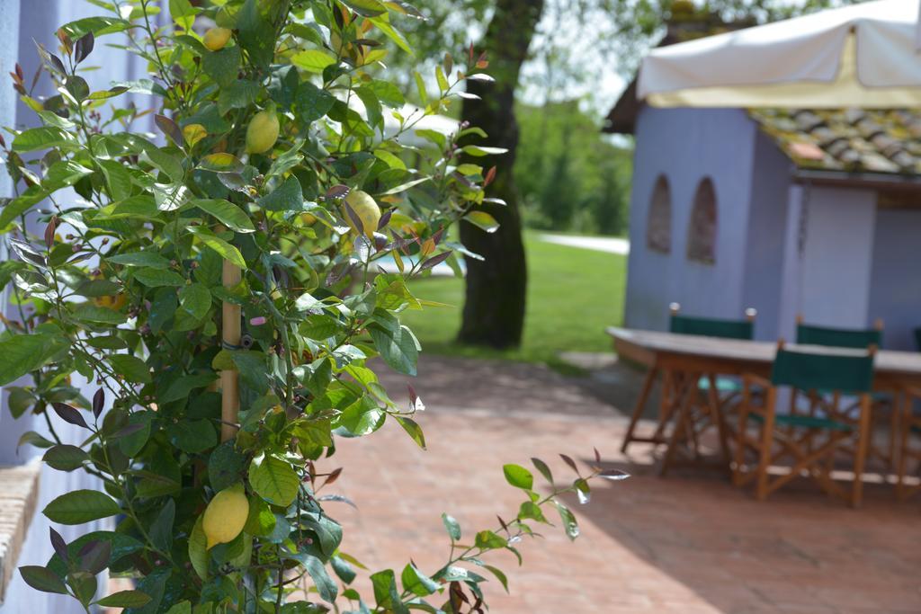 알토파시오 Casa Fontanino B&B 외부 사진